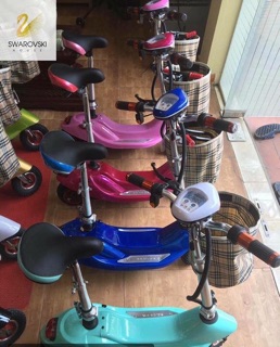 Xe điện mini gấp gọn