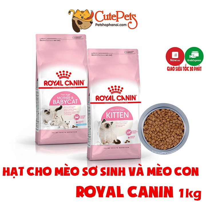 [Mã 99FMCGSALE giảm 8% đơn 500K] Hạt Royal Canin Thức ăn cho mèo con Kitten 36 1kg Mèo sơ sinh BabyCat 34 1kg - CutePets