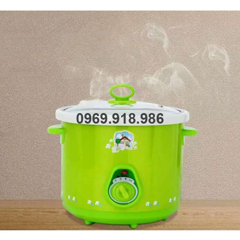 🎉 Nồi Hầm Nấu Cháo Chậm Cho Bé Bằng Điện 2.5L Đẹp Cao Cấp Giá Gốc Sỉ Rẻ ✨ Tổng Kho Gia Dụng Hồ Chí Minh ✨