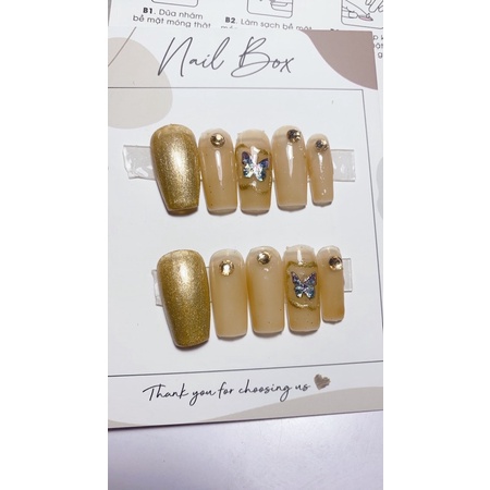 Gạo Nail 22