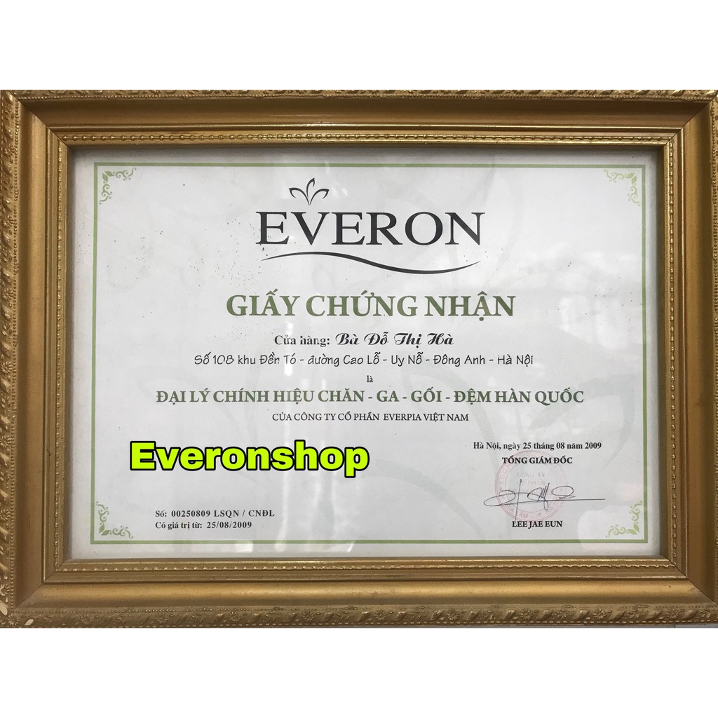 Gối Everon 35cm*50cm (giao màu ngẫu nhiên)