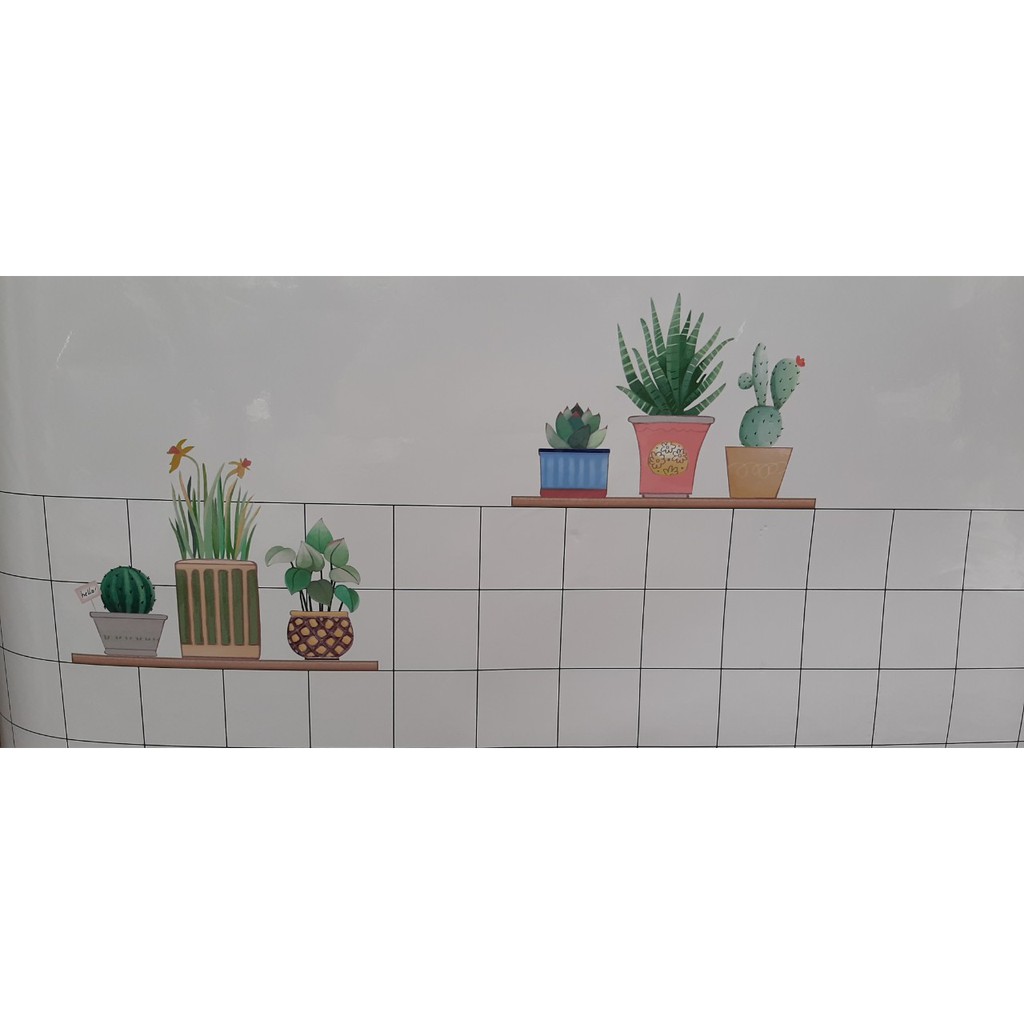 DECAL 1M x 60CM dán bếp tráng nhôm cách nhiệt kệ chậu hoa mới