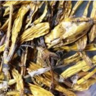 Thạch Hộc vàng đẹp 100 gram.