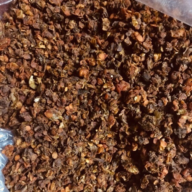 Chi tử / hạt dành dành
