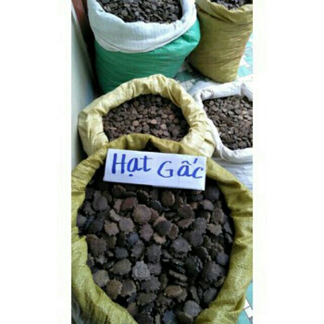 500gr hạt gấc khô vườn nhà
