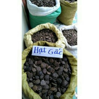 500gr hạt gấc khô vườn nhà