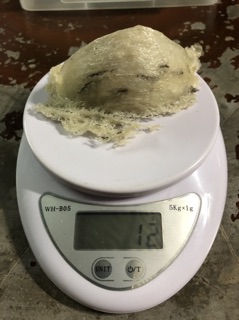 10gr yến thô (loại còn lông)