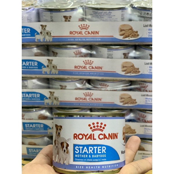 🇫🇷 Pate Thức Ăn Ướt Cho Chó Mẹ Và Chó Con Cai Sữa Tập Ăn ROYAL CANIN STARTER MOTHER & BABYDOG MOUSSE 195g