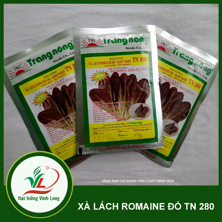 Hạt giống rau Xà Lách Romaine tím TN 280 - 1g