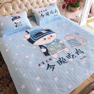 chiếu điều hòa cao cấp kèm 2 vỏ gối