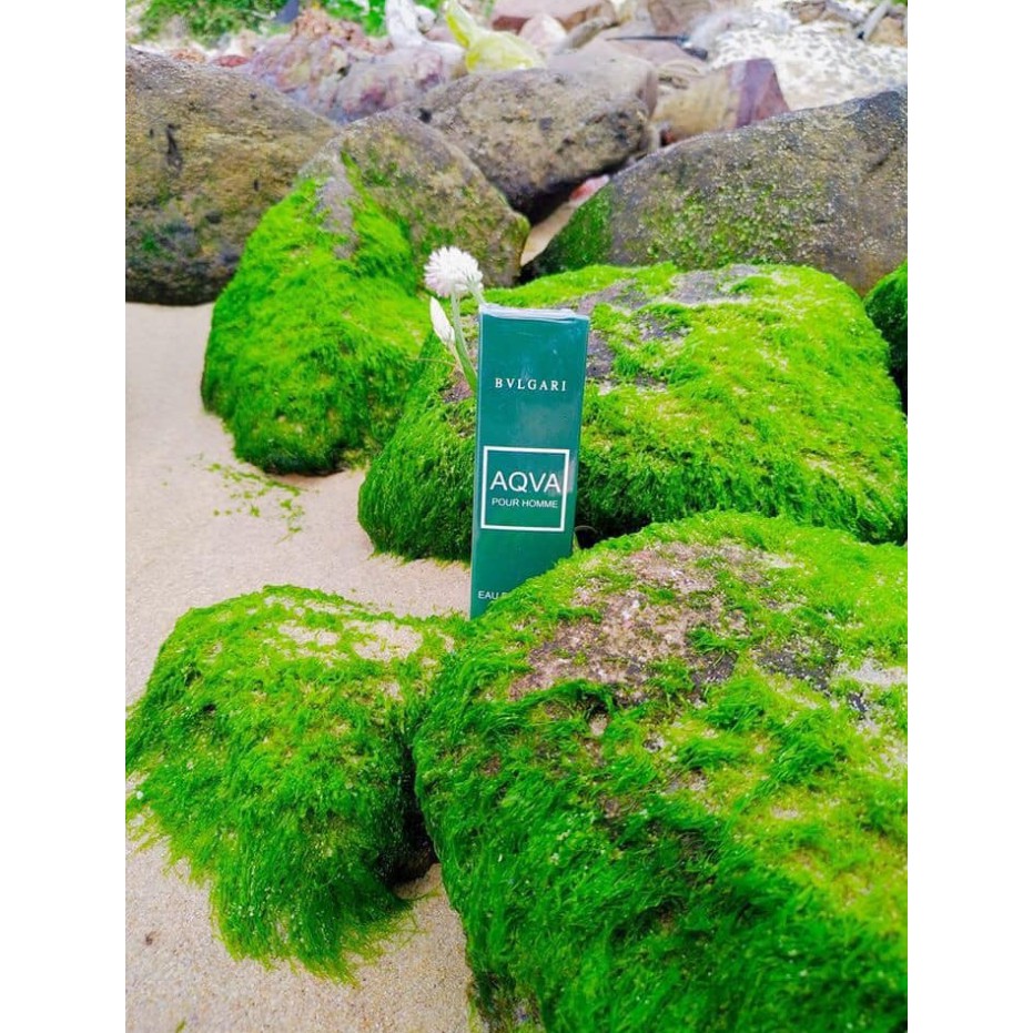 Nước Hoa Nam  BVL GARI AQVA POUR HOMME (12ml) | BigBuy360 - bigbuy360.vn