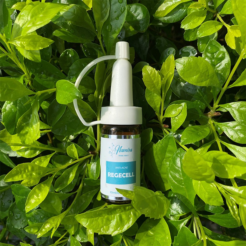 Chấm Mụn Namira Regecell Anti Acne  - Giảm Mụn - Ngăn Ngừa Thâm - Tinh Chất Thiên Nhiên - Lọ 10ml | BigBuy360 - bigbuy360.vn