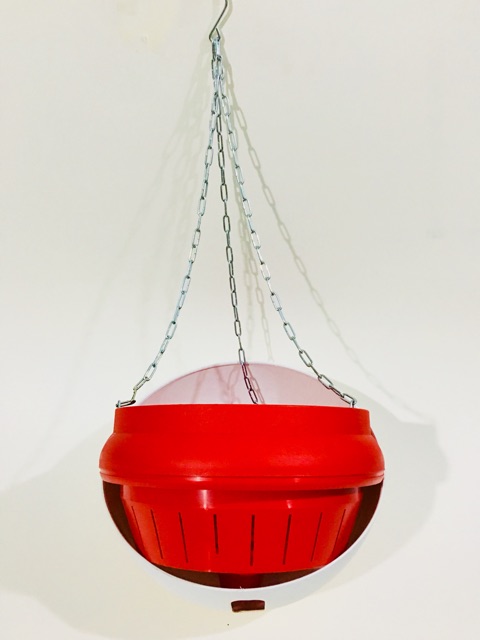 Chậu Treo Thông Minh, Chậu Treo Tự Dưỡng - không sợ thiếu nước - Smart Hanging Pots, Self-Hanging Hanging Pots (26vs19)