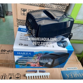 Máy sủi khí - sủi oxi tích điện cho hồ Koi Hailea CP 60 Hàng công ty