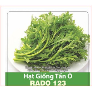 Hạt giống rau tần ô rạng đông