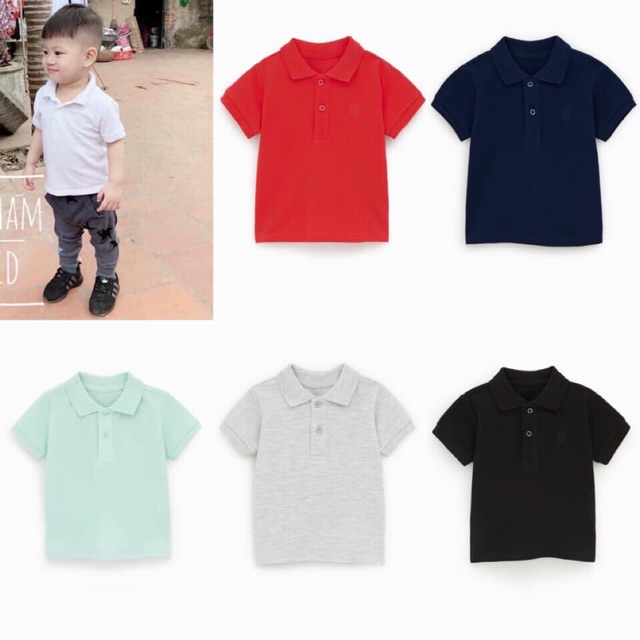 Áo polo zara