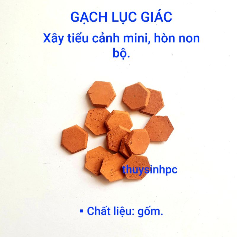 Gạch lát nền lục giác Mini trang trí hồ cá tép cảnh thủy sinh