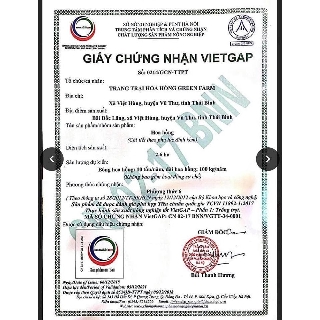 Mặt Nạ LaCo Mask
