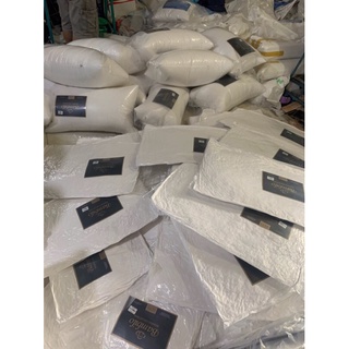 Đôi ruột gối vuông 45x45 hãng bambilo