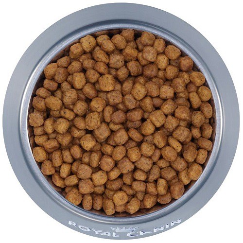 [CHÍNH HÃNG] ROYAL CANIN - CHIHUAHUA PUPPY THỨC ĂN CHO CHÓ CHIHUAHUA DƯỚI 8 THÁNG - GÓI 1.5KG