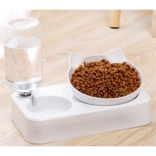 Bát ăn cao cấp kèm bình cho chó mèo