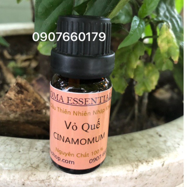 Tinh dầu thiên nhiên nguyên chất Vỏ Quế
