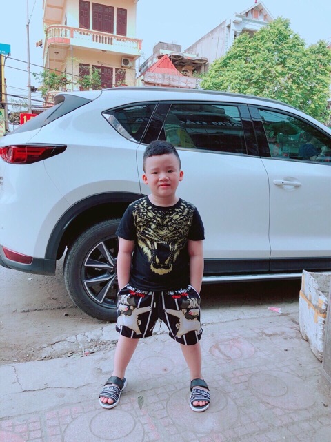 Áo phông hổ đính đá cho bé trai