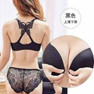 Bộ chip cánh bướm
