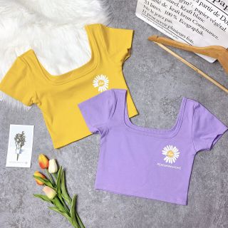 Áo bông cúc bozip cổ U ( HÌNH THẬT )