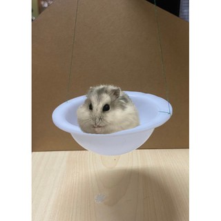 Xích đu hamster/ đồ chơi hamster  ( nắp mica tròn )