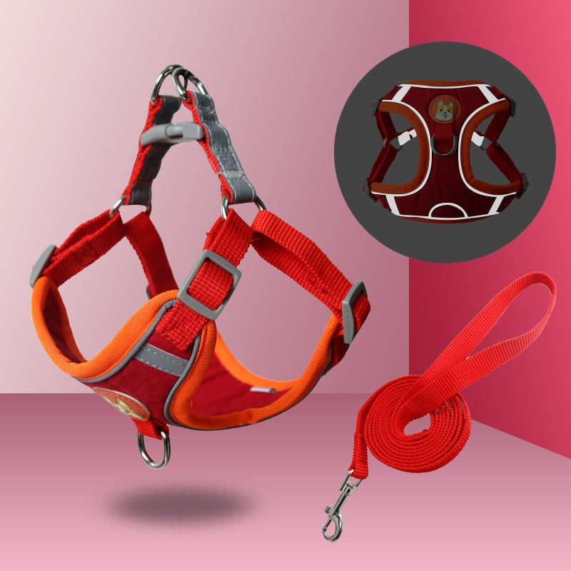 Dây Dắt Thú Cưng Đi Dạo Kèm Dây Dắt Tiện Dụng Cho Cún Cưng