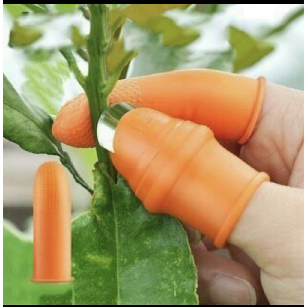 Bộ móng nhặt rau củ chống bẩn móng tay