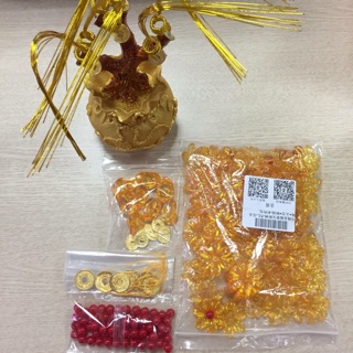 Set nguyên liệu cây kim tiền lộc gốc túi tiền size nhỏ