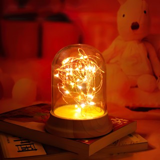 Đèn ngủ đom đóm Fairy Light Đèn trang trí trong nhà, đèn ngủ, Quà tặng độc đáo và ý nghĩa - Do_luu_niem