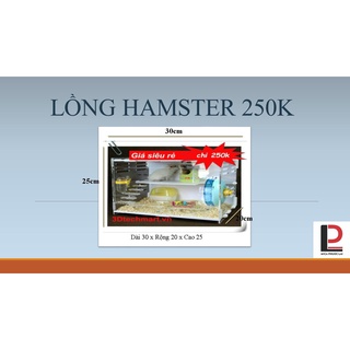 Lồng hamster giá rẻ (KHÔNG NỘI THẤT)