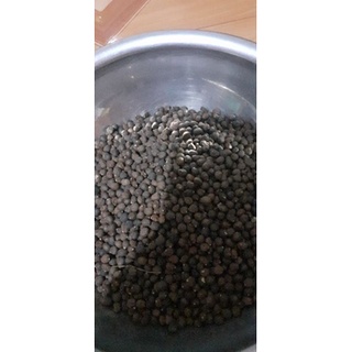 100gram hạt bông gòn giống