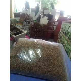Trấu hun nguyên hạt - giá thể trồng cây (gói 500g)