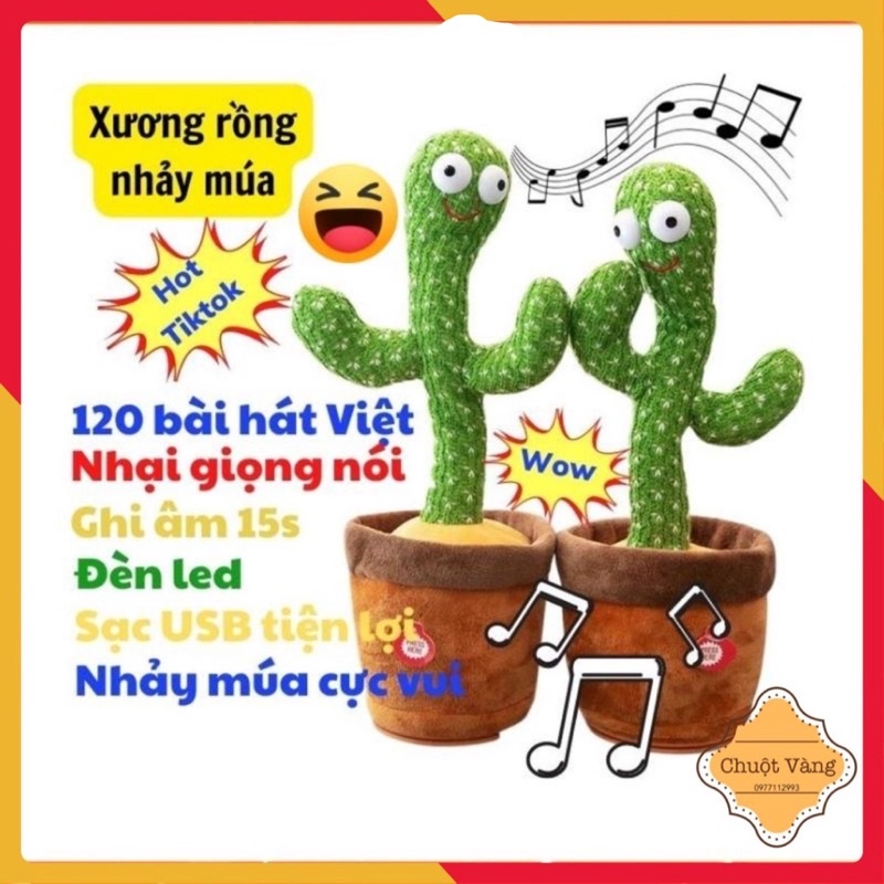 Xương rồng nhảy múa vui nhộn nhại giọng 120 bài nhạc Việt Sạc Usb có đèn led