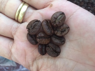 Cafe hạt nguyên chất 100%