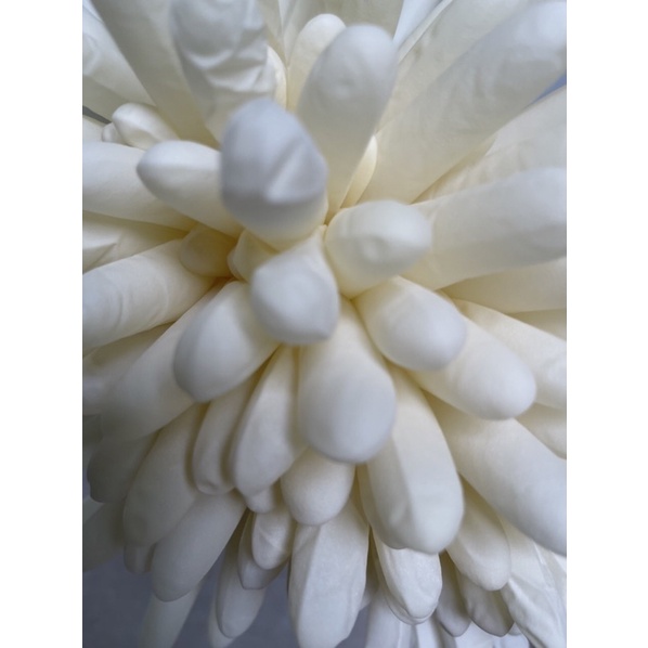 Găng tay túi 10 đôi / 20 cái , latex Gloves, găng tay latex có bột, và không bột , màu trắng