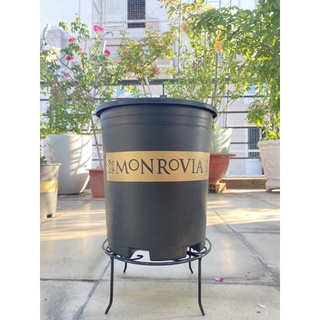 Combo 10 đế kê chậu Monrovia - Friendship garden