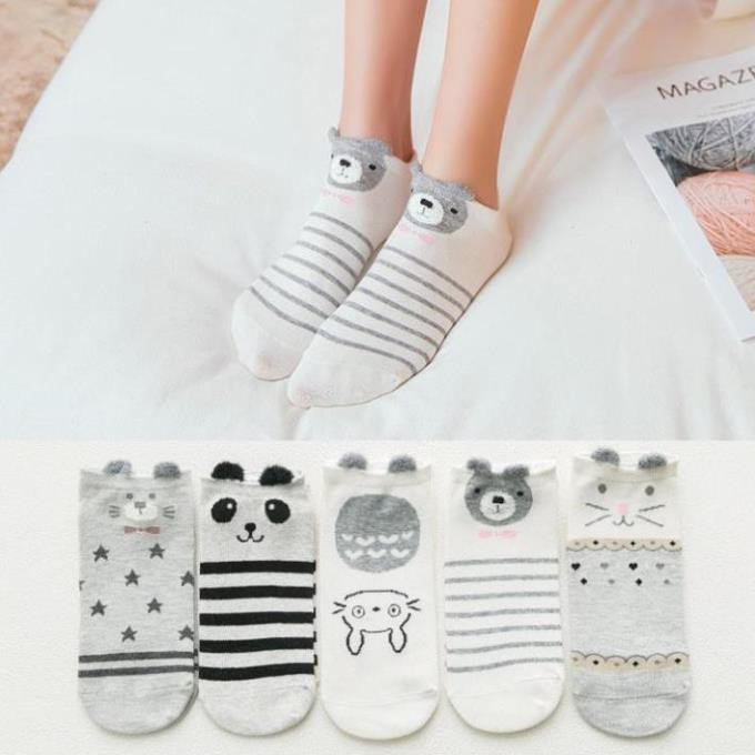 Combo 5 Tất cổ thấp nữ Dễ thương Set 5 Vớ cổ thấp cute in hình 3D