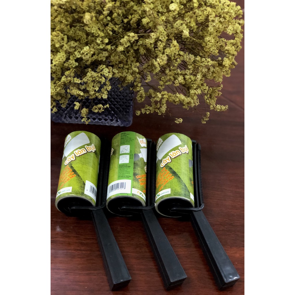 Cây lăn bụi 60 lớp