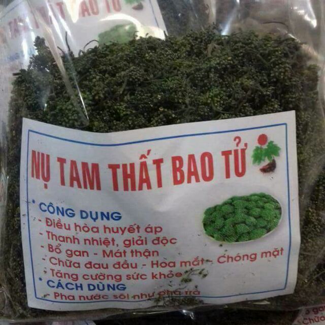 Nụ tam thất bao tử