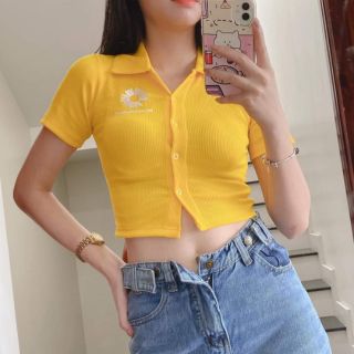 ÁO CROPTOP THÊU HÌNH HOA CÚC