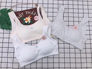 Set 3 áo lót học sinh chỉ 69k
