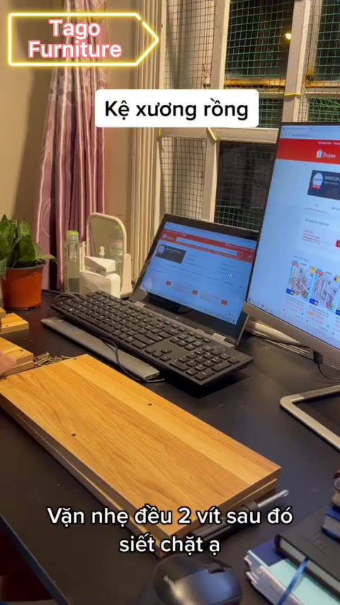 Kệ xương rồng mini, kệ sách gỗ để bàn lắp ghép hình cây trang trí bàn làm việc để sách, để đồ đa năng 40x17x40 ND26 | BigBuy360 - bigbuy360.vn