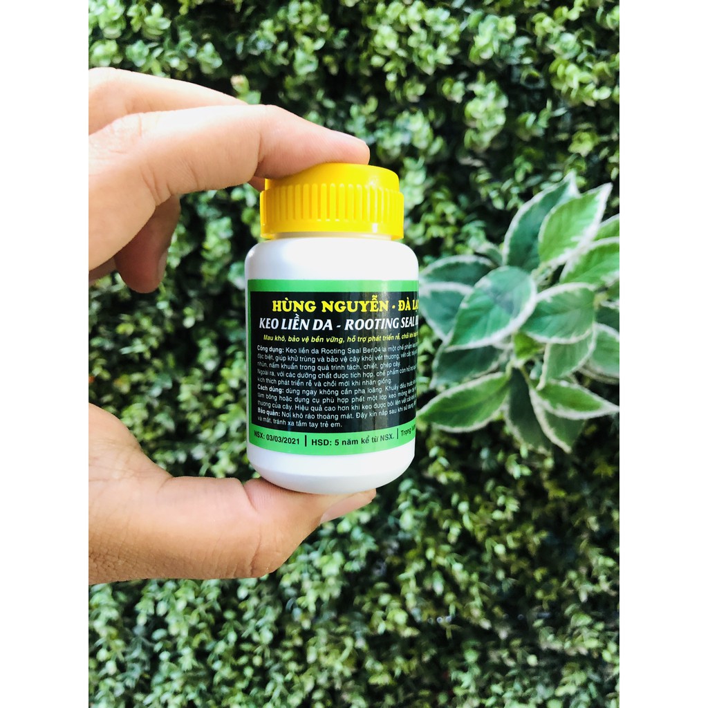 Keo Liền Sẹo Rooting Seal Ben04 80gr - Hùng Nguyễn dành cho chiết cành, nhân giống cây trồng