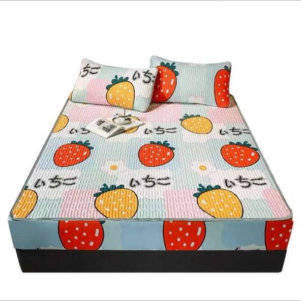 Chiếu điều hòa cao su non bo chun 5D HÀNG NHẬP KHẨU LOẠI 1 êm, mềm mát đủ kích thước M6 x 2M/ M8 x 2M/ 2M2 x 2M