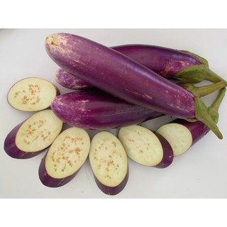 Cà Tím TN 55 A ( 5gr )